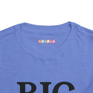 Toddler Tee Big Brother v1 Heather Columbia Blue Front Collar Closeup