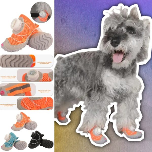 Dog Footwear and Pet Shoes Feature image On Colourmingle